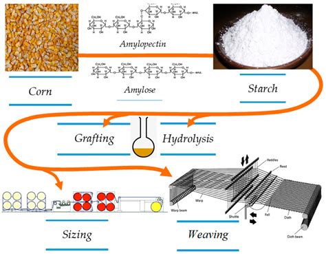 The Science of Stiffness: The Chemistry of Sizing Starch